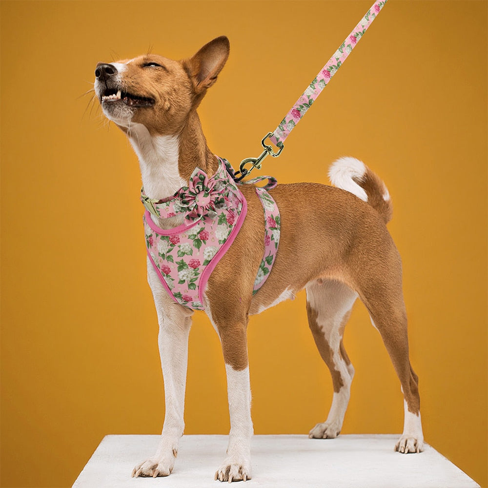 Floral Collection Dog Harness Set