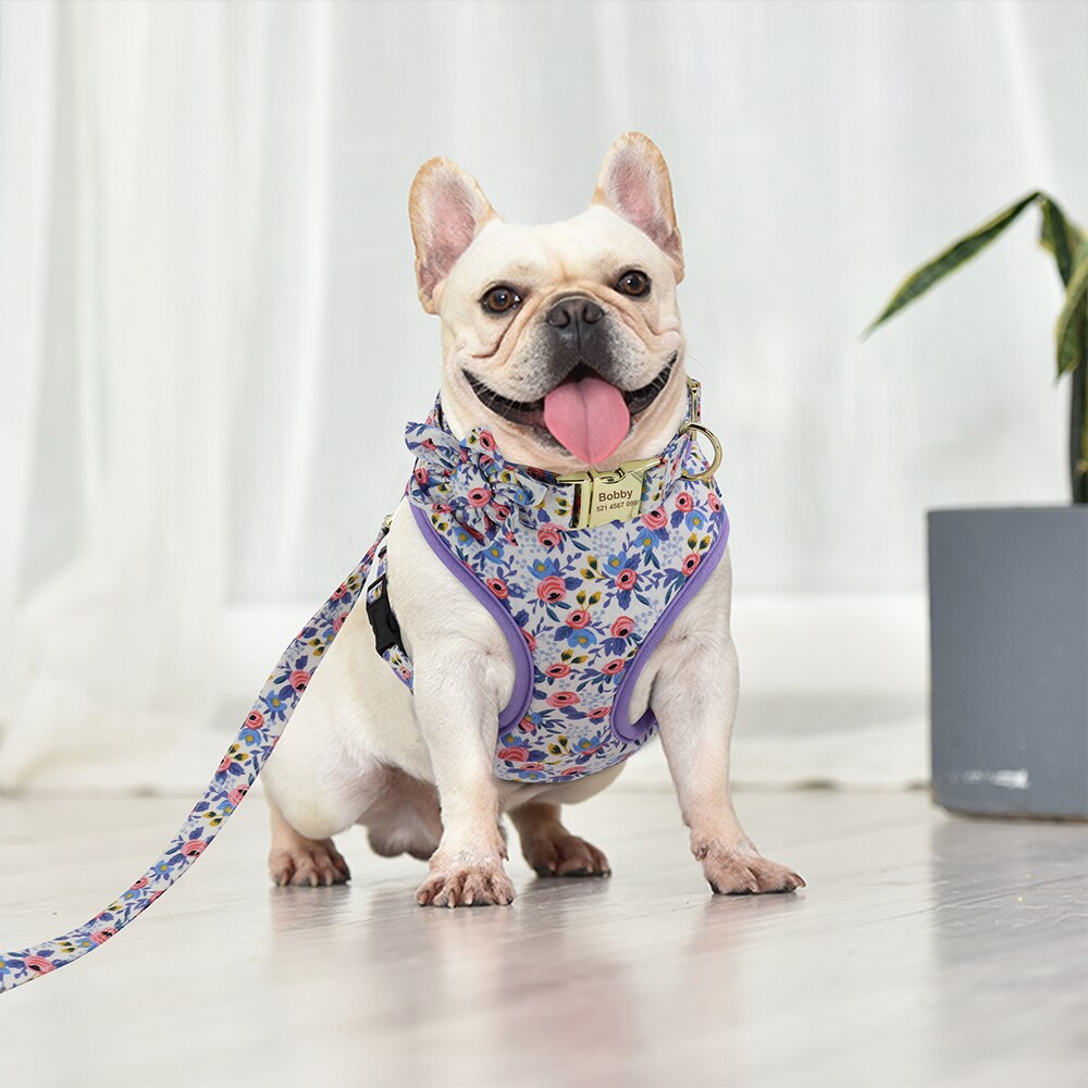 Floral Collection Dog Harness Set