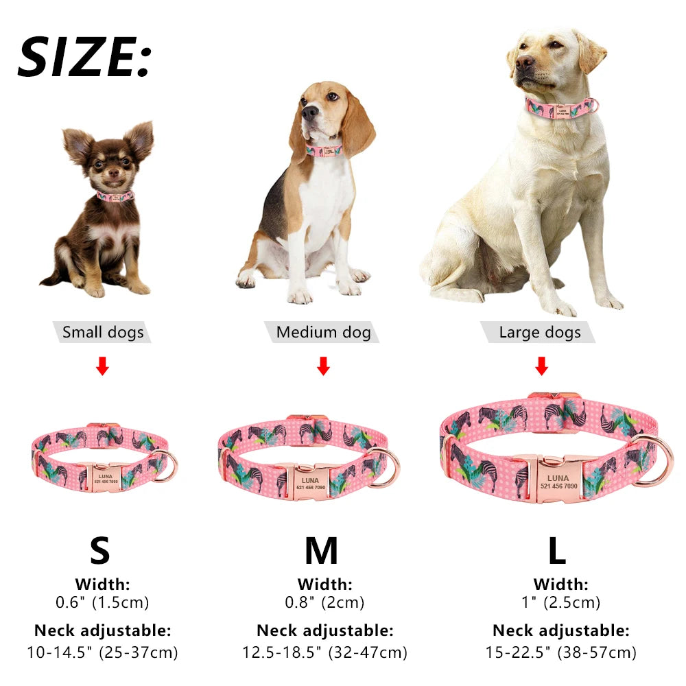 Customized Dog Collar