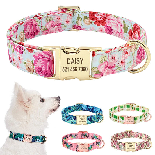 Customized Dog Collar