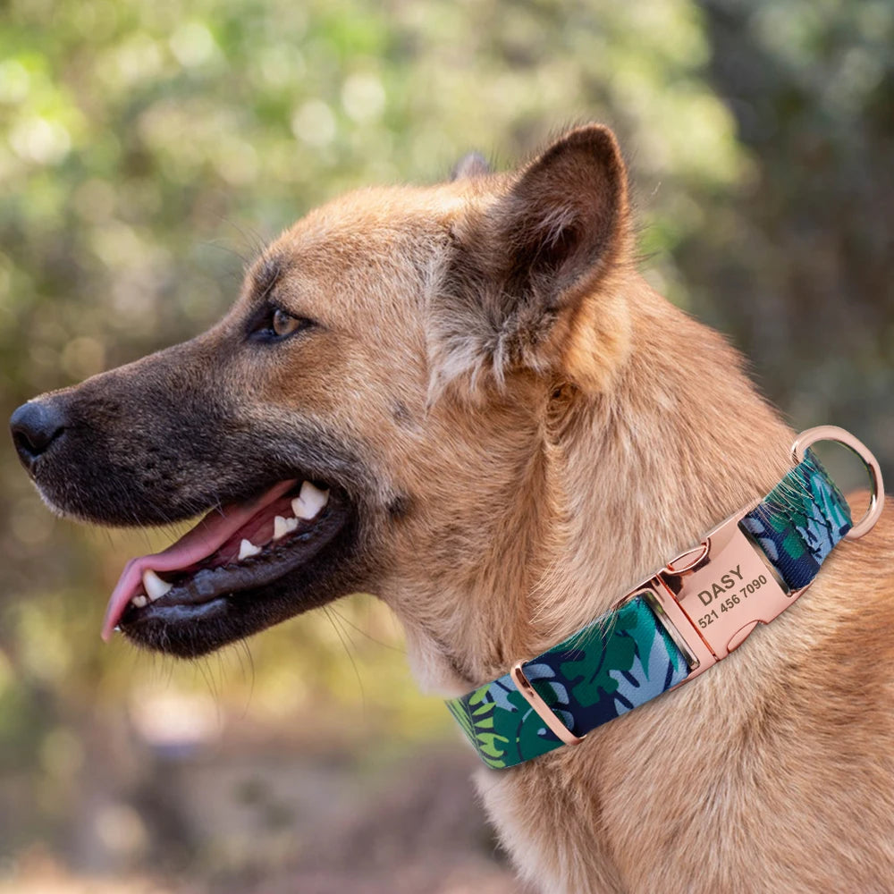 Customized Dog Collar