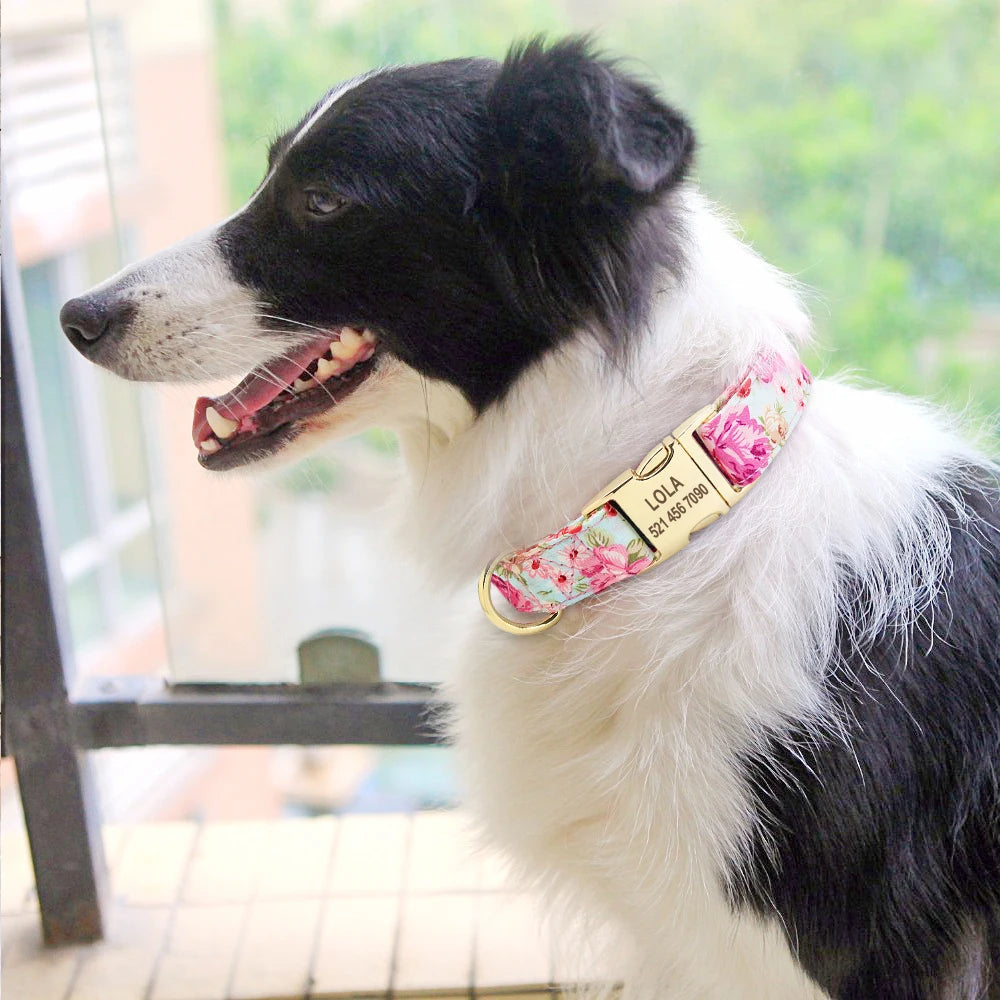 Customized Dog Collar