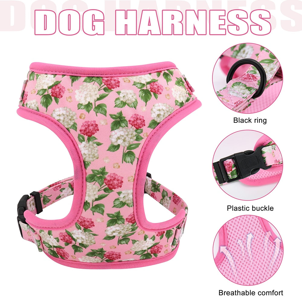 Floral Collection Dog Harness Set